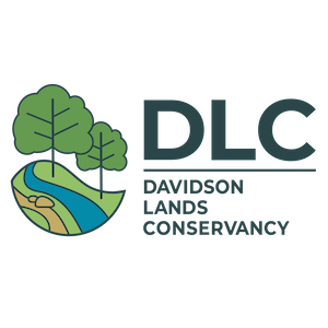 Davidson-Land-Logo_2026