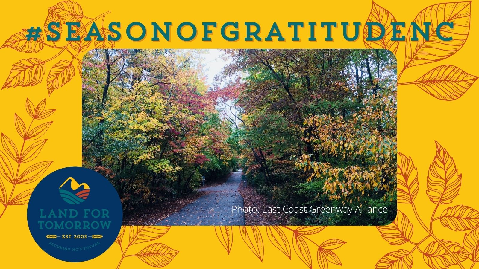 Giving thanks for land conservation trusts in this season of gratitude