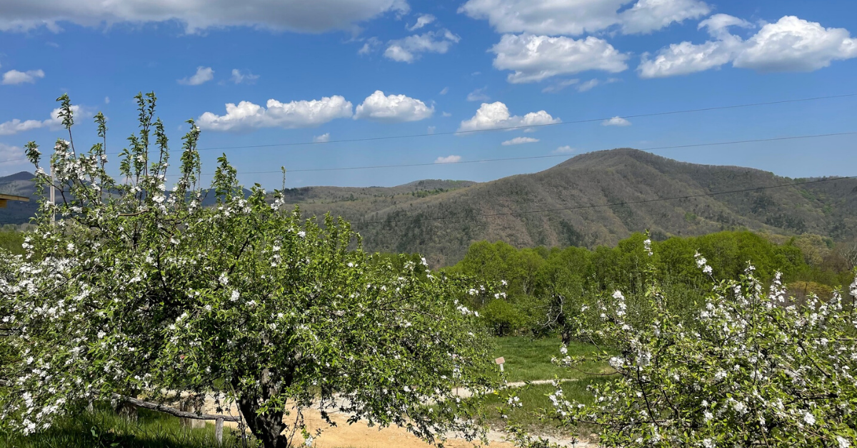 NC Land & Water Fund Successes!