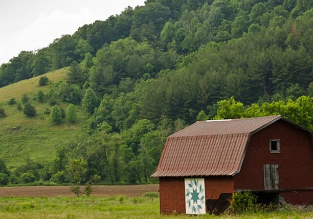 Argicultural-Dev-Trust