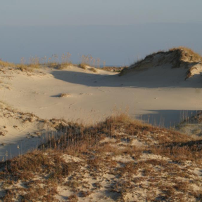 HABE dunes